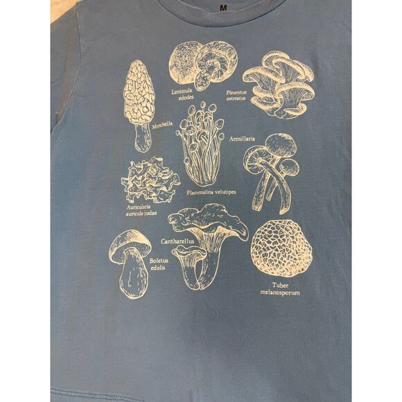 Goodie Two Sleeves Mushroom Kingdom Classification T-shirt Blue Youth Med 8/10 - Picture 2 of 6